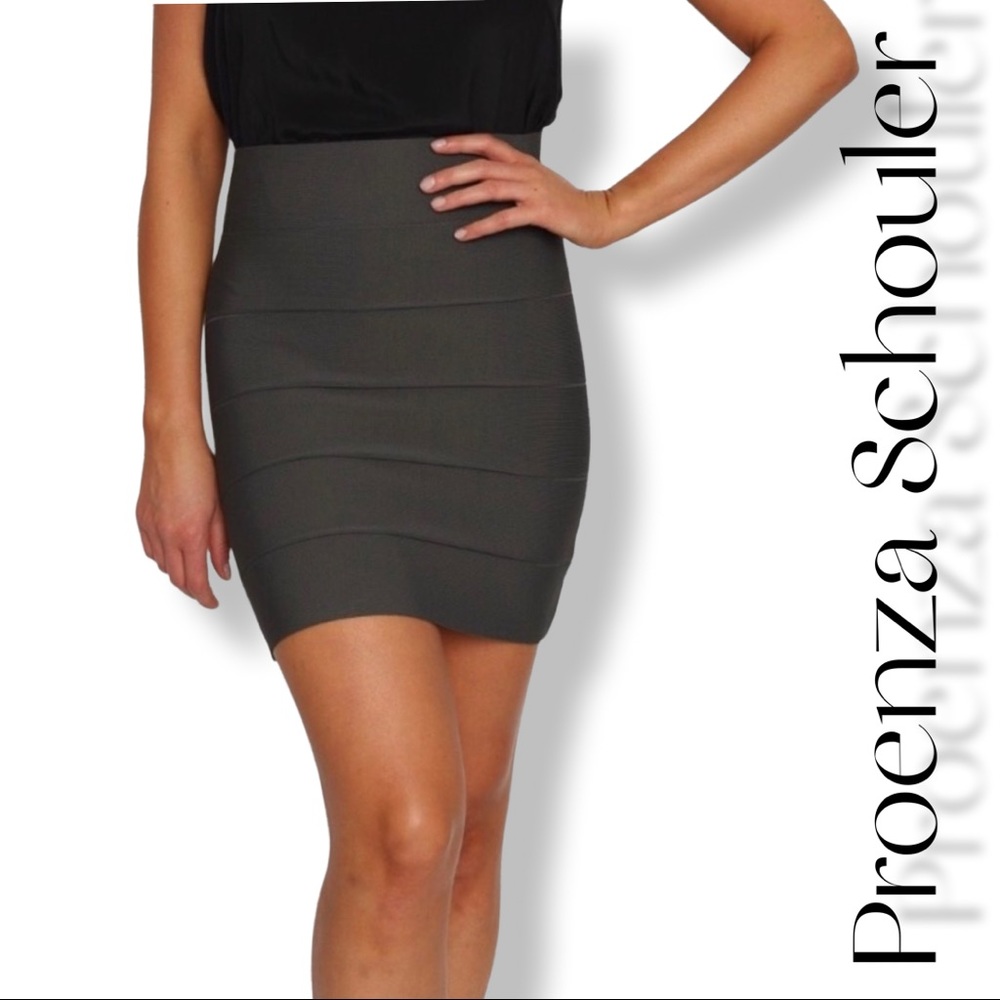 Proenza Schouler Bodycon Ribbed Mini Skirt